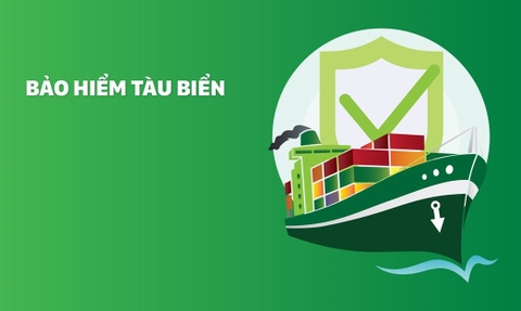 BẢO HIỂM TÀU BIỂN