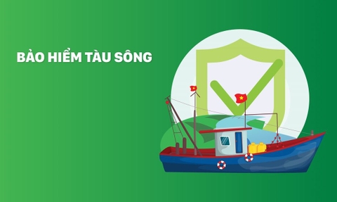 BẢO HIỂM TÀU SÔNG