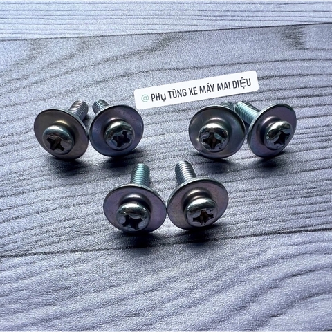 BỘ ỐC BẮT BỬNG LOẠI 2 (SPORT-XIPO-RGV-RGX-SATRIA). BỘ 6 CON