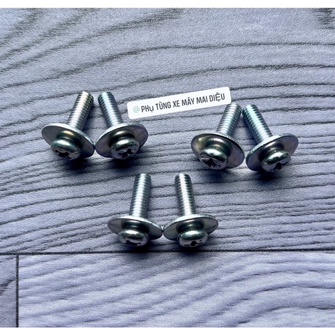 BỘ ỐC BẮT BỬNG LOẠI 2 (SPORT-XIPO-RGV-RGX-SATRIA). BỘ 6 CON