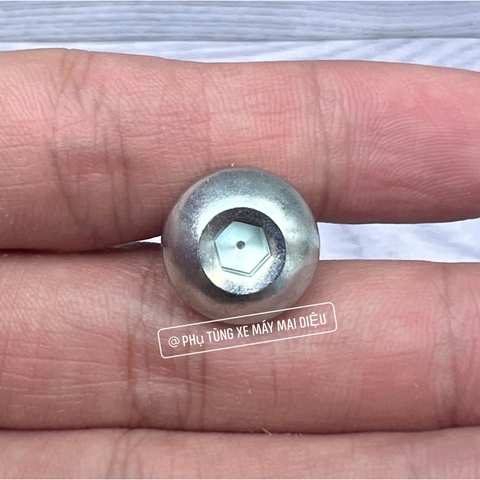 ỐC BẮT PEN ĐẠP ZIN RGX 2003 - SATRIA 2006 (SPORT-XIPO-RGV-RGX-SATRIA)