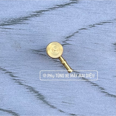 NÚT ĐỒNG BƠM NHỚT (SPORT-XIPO-RGV-RGX-SATRIA)