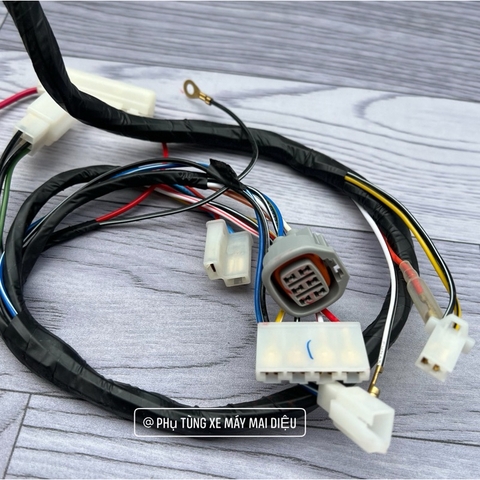 Dây Điện Sườn Sport 120Cc MALAYSIA (Sport-Xipo-Rgv-Rgx-Satria)