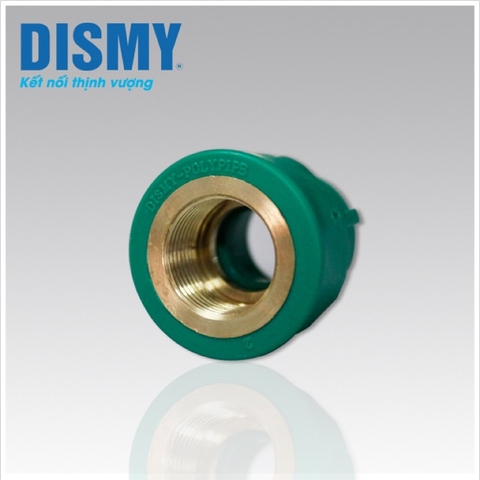 Măng sông ren trong nhiệt DISMY D20 D25 D32