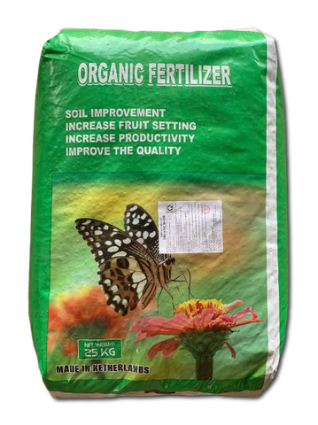 Phân Nở Cánh Bướm Hà Lan