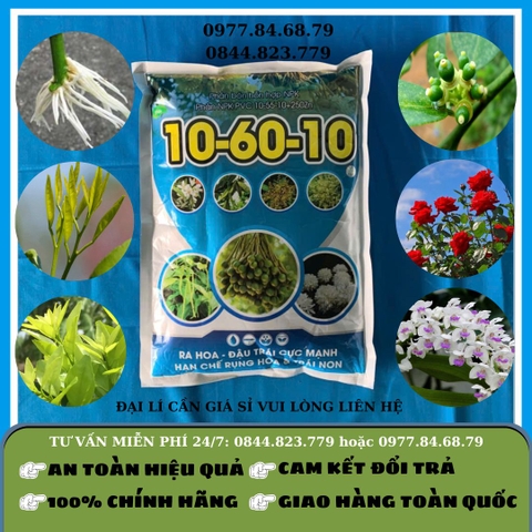 10-60-10 1kg (Canada)