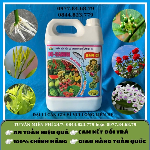 DC - Caron - Đạm Cá 5 lit SH05 Quế Lâm