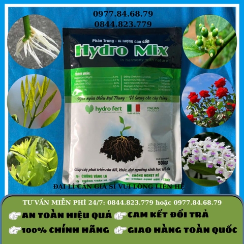 Hydro Mix Trung Vi Lượng 500gr