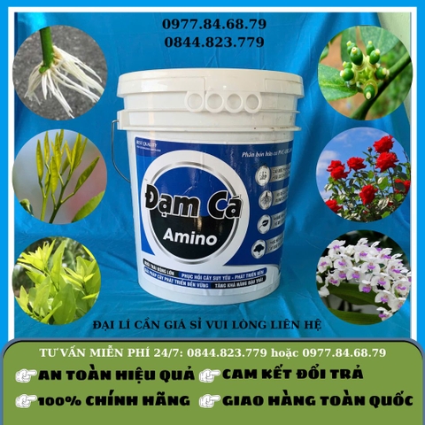 Amino Đạm Cá Xô 20 lít