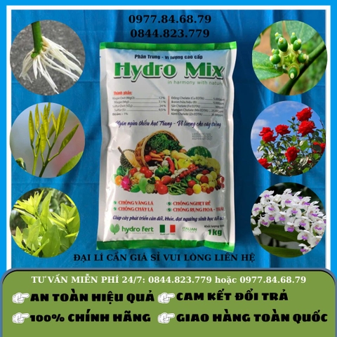 Hydro Mix Trung Vi Lượng 1kg