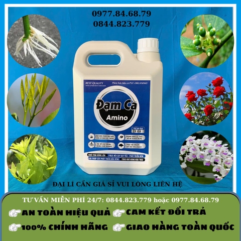 Đạm Cá Amino 5 lít