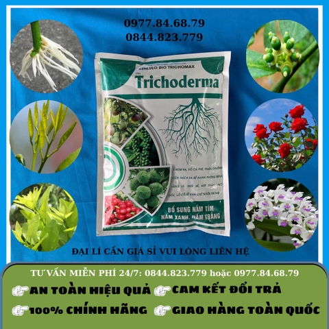 Trichoderma gói NH - GLA