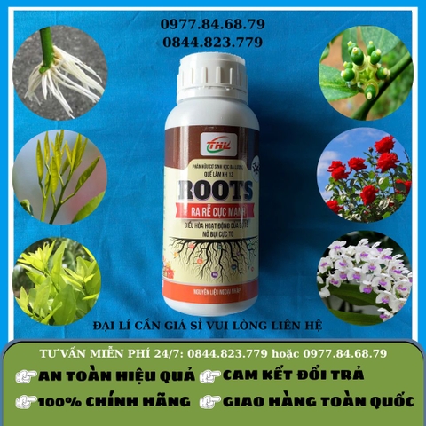 ROOTS siêu ra rễ THL 0.5 lít