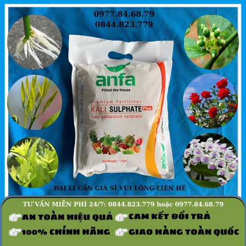 Kali Trắng Anfa 1kg