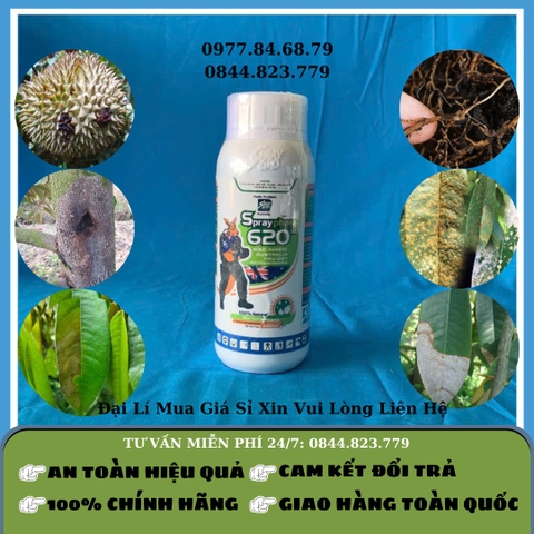 Trừ nấm Sprayphos 620 0.5l