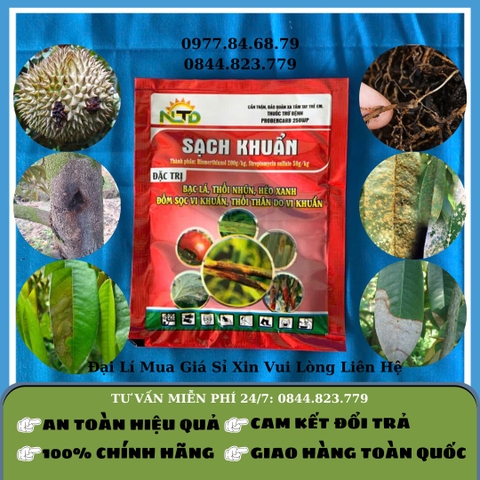 Sạch Khuẩn Probencarb