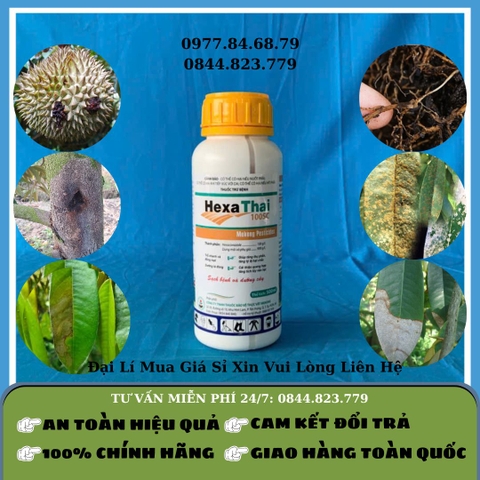 Hexa Thái 1LIT