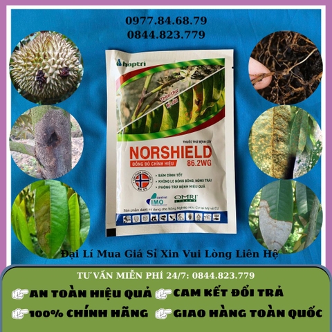 Đồng đỏ Norshield 86.2WG