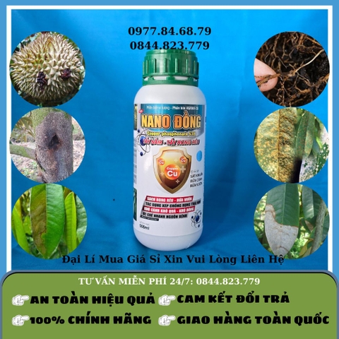 Nano Đồng 500ml
