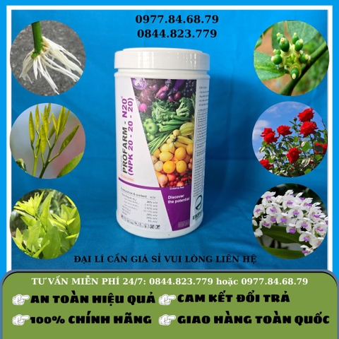 Profarm - N20 Eropsia (NPK 20-20-20) 1kg