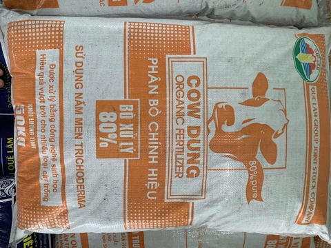 Phân Bò xử lí 80%