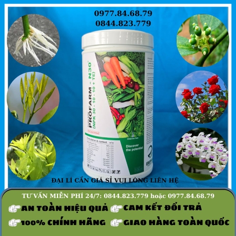 Profarm - N30 Eropsia 1kg (NPK 30-10-10)