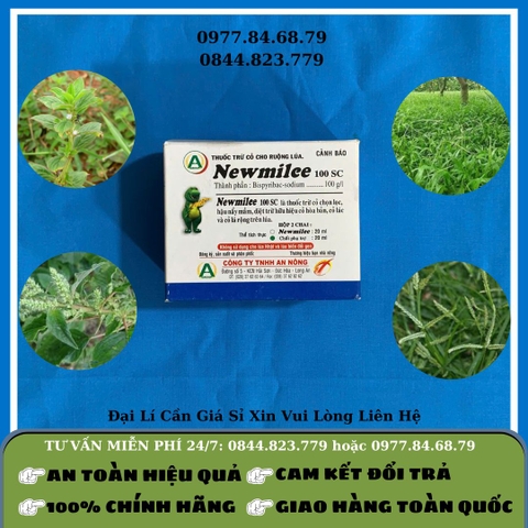 Thuốc Cỏ Hộp Newmilee