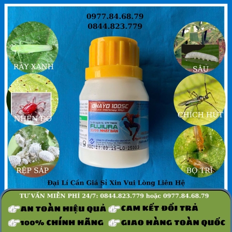 OHAYO 100SC 50ml (epnon người nhện)