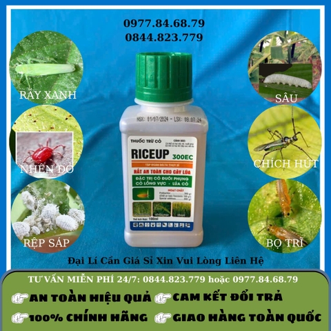 RiceUp 300EC 100ml