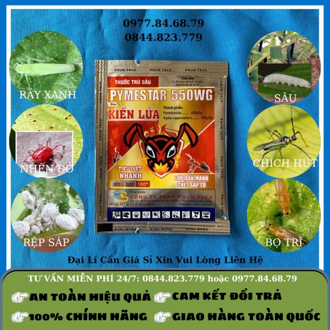 Kiến lửa (Pymestar 550WG)