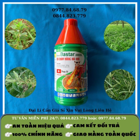 Thuốc Cỏ Hồng Hài Nhi