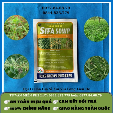 Cỏ cặp SIFA