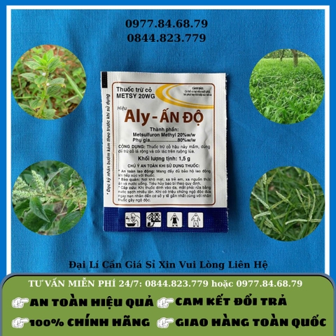 Cỏ Gói Ally