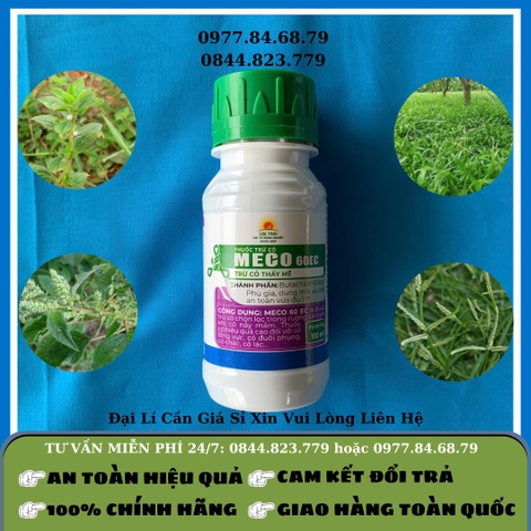 Cỏ lúa 3 ngày Meco