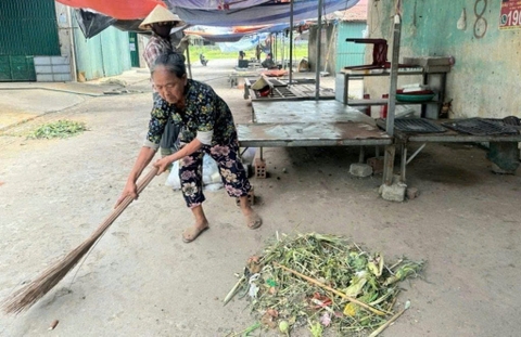 Gom rác thải chợ ủ phân hữu cơ, hay và hiệu quả như thế nào?