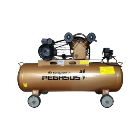 Máy nén khí 1 cấp Pegasus TM-V-0.25/8-120L – 3HP, 120L, 8 bar (220 V)