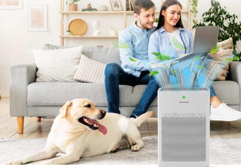 Máy lọc không khí Honeywell Air Touch P1_HC000020/AP/P1