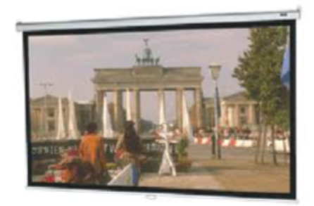 Màn chiếu treo tường DALITE P96WS (96” x 96”) - 136''