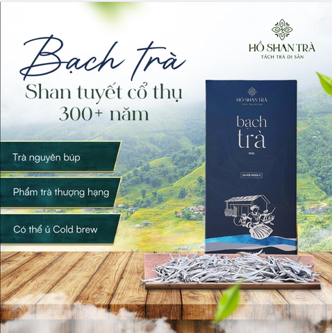 Bạch trà Shan Tuyết cổ thụ Hồ Shan 100g