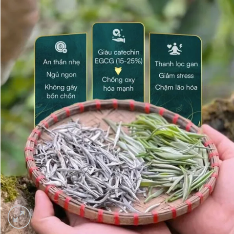 Bạch trà Shan Tuyết cổ thụ Hồ Shan 100g