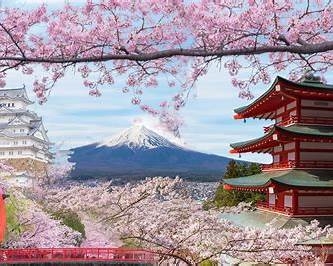 [6N5Đ] Tour ghép Tokyo – Phú Sỹ – Nagoya – Kyoto – Osaka