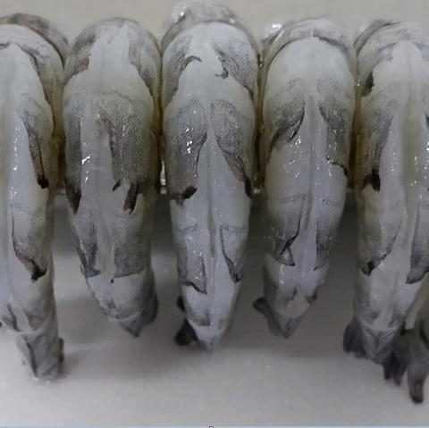 Raw Black Tiger Shrimp PD Deveined