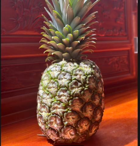 Fresh Pineapple MD2