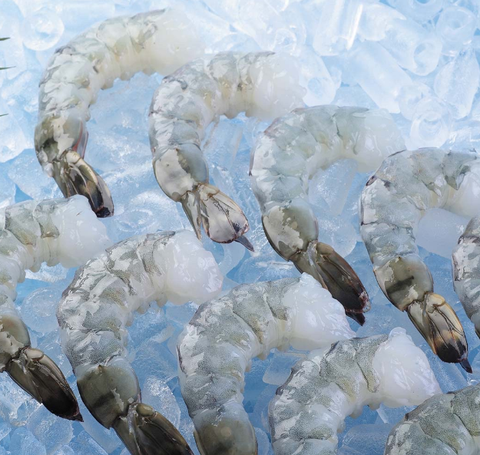 Raw Black tiger PDTO