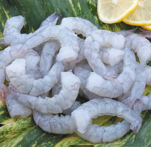 Raw Vannamei shrimp PD