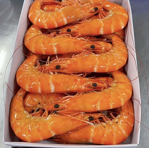 Cooked Vannamei Shrimp hoso