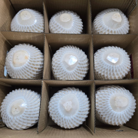 Young Coconut Diamond Cut