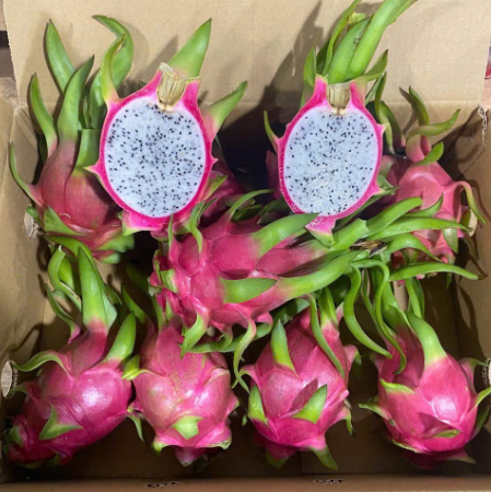 Fresh white dragon fruit