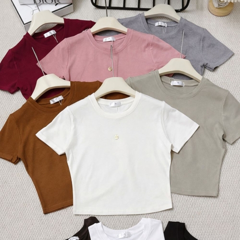 Áo Croptop Nữ Rip Lụa Tăm Lạnh Cổ Tròn Ôm Body Co Giãn 4 Chiều Phong Cách Hàn Quốc - A26514HL