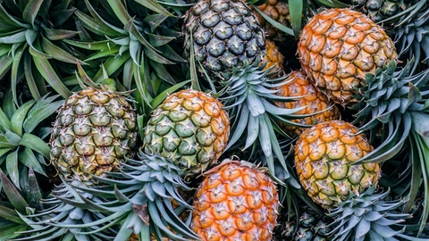 Pineapple benefits